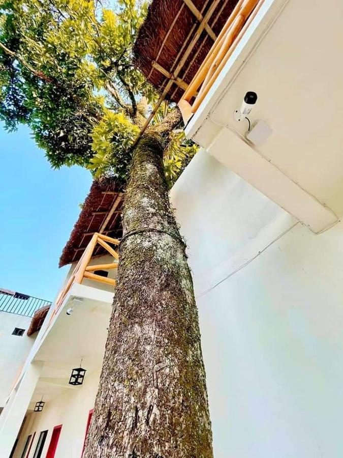 Hotel Sierra Linda Xilitla Ngoại thất bức ảnh